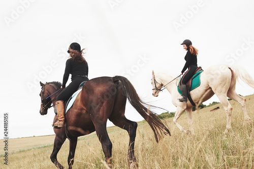 Two young pretty girls riding a horses on a field. They loves animals andhorseback riding © standret