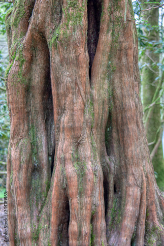 Stourhead