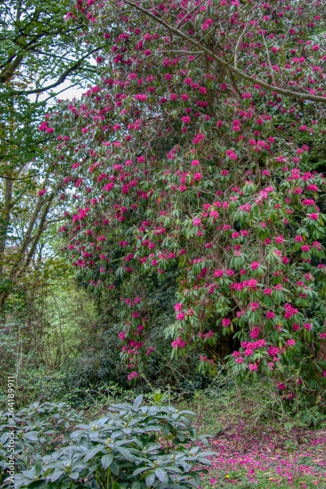 Stourhead Stourhead
