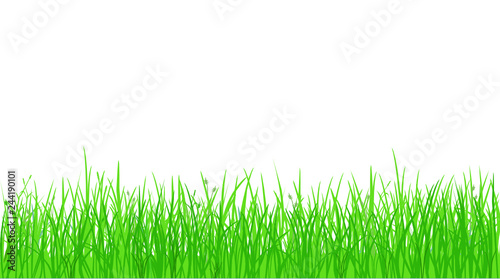 Green grass silhouette on white background