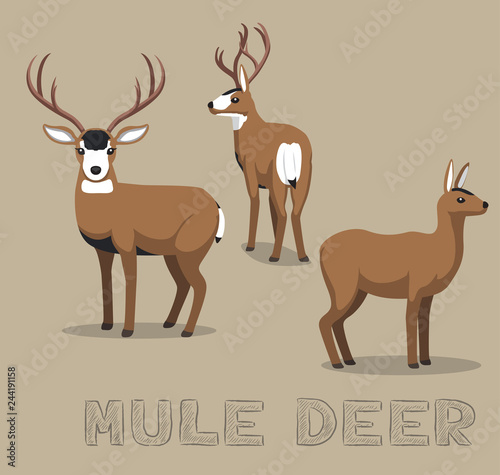 Deer Mule Cartoon Vector Illustration