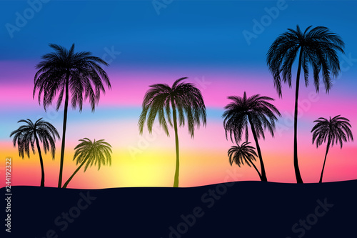Fototapeta Naklejka Na Ścianę i Meble -  sunset and tropical palm trees with colorful landscape background, vector, eps 10 file