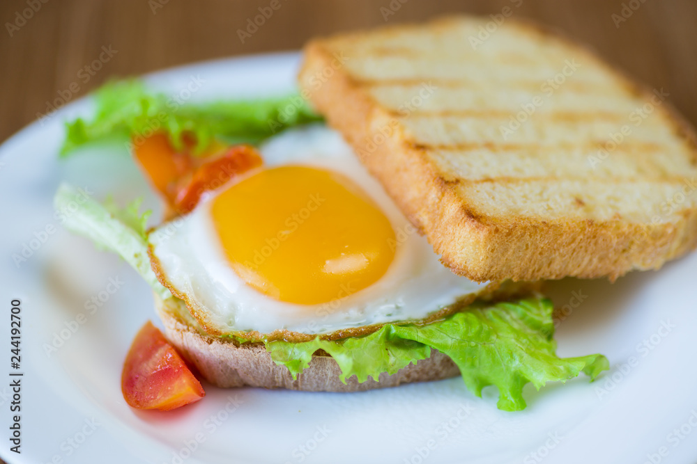fresh sandwich with lettuce leaves and fried egg with hot toasts