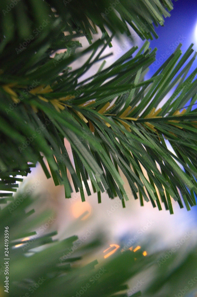 Obraz premium christmas