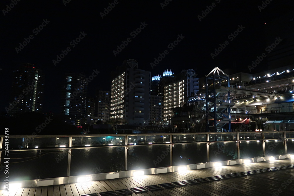 Obraz premium Nocny widok na Odaiba w Tokio