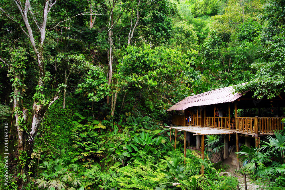 Jungle cottage in the forest, Minca, Colombia, South America