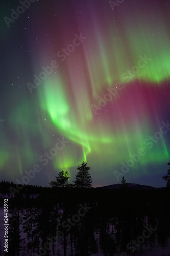 Aurora Borealis, Northern Lights, above boreal forest in Finnish Lapland.