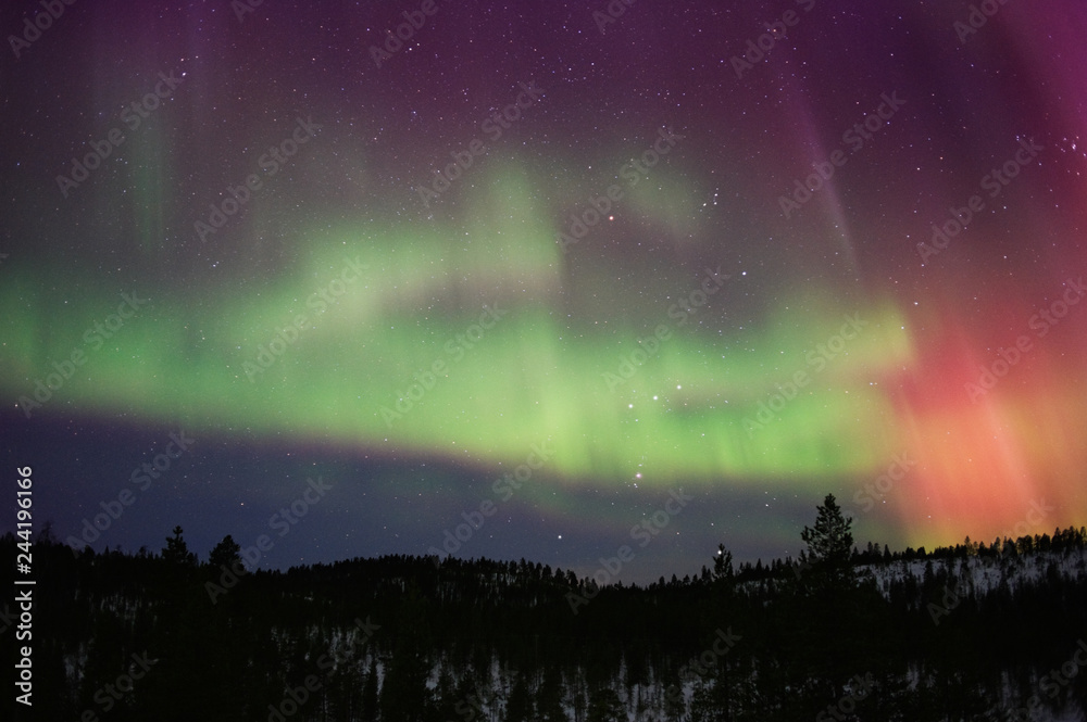 Aurora Borealis and Orion constellation above boreal forest in Finnish Lapland.