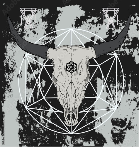 Bull Skull with Pentagram