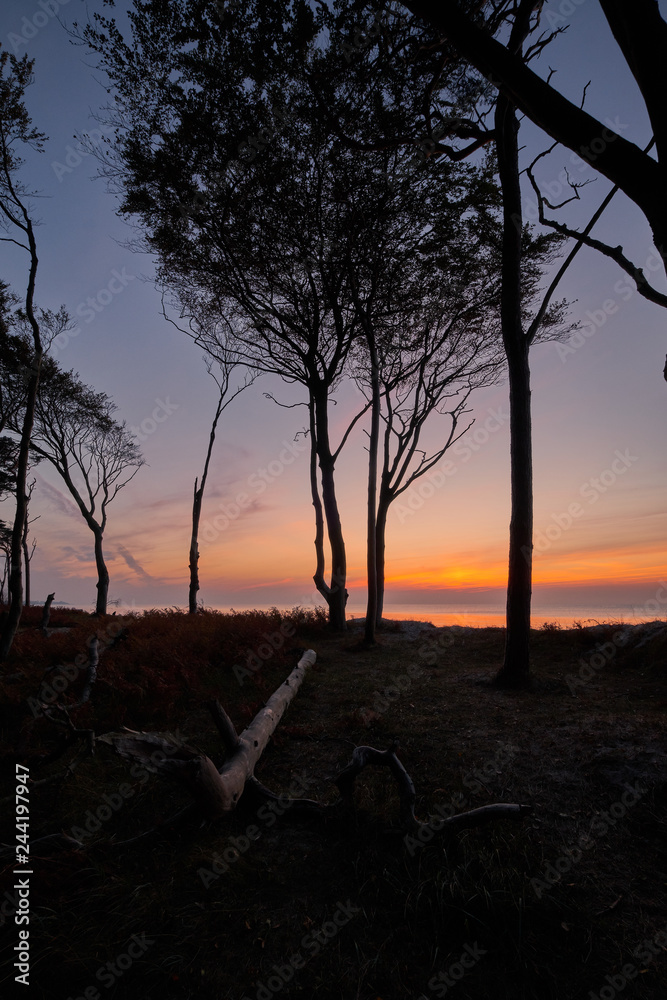 Naklejka premium Lichtstimmung am Abend am Darßer Weststrand, Nationalpark Vorpommersche Boddenlandschaft, Mecklenburg Vorpommern, Deutschland