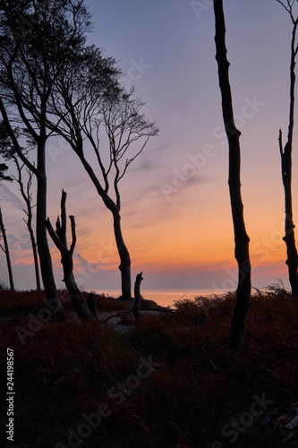 Lichtstimmung am Abend am Darßer Weststrand, Nationalpark Vorpommersche Boddenlandschaft, Mecklenburg Vorpommern, Deutschland photo