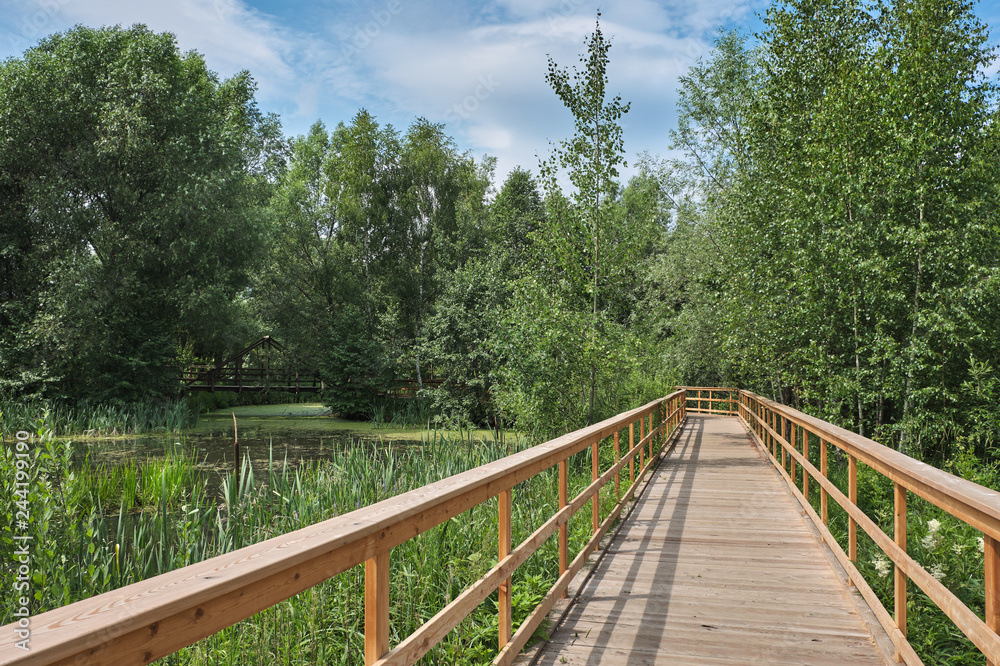 Summer landscape with a wooden walkway in the park on a sunny day Summer landscape with a wooden walkway in the park on a sunny day