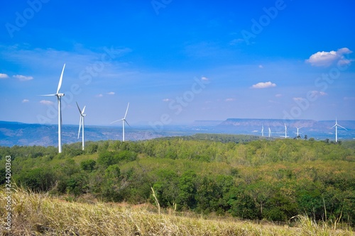 Korat wind turbines in the field