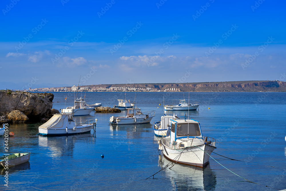 Fototapeta premium Nova Tabarca island port in Spain
