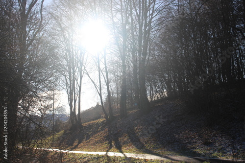 Der sonnige Fahrradweg