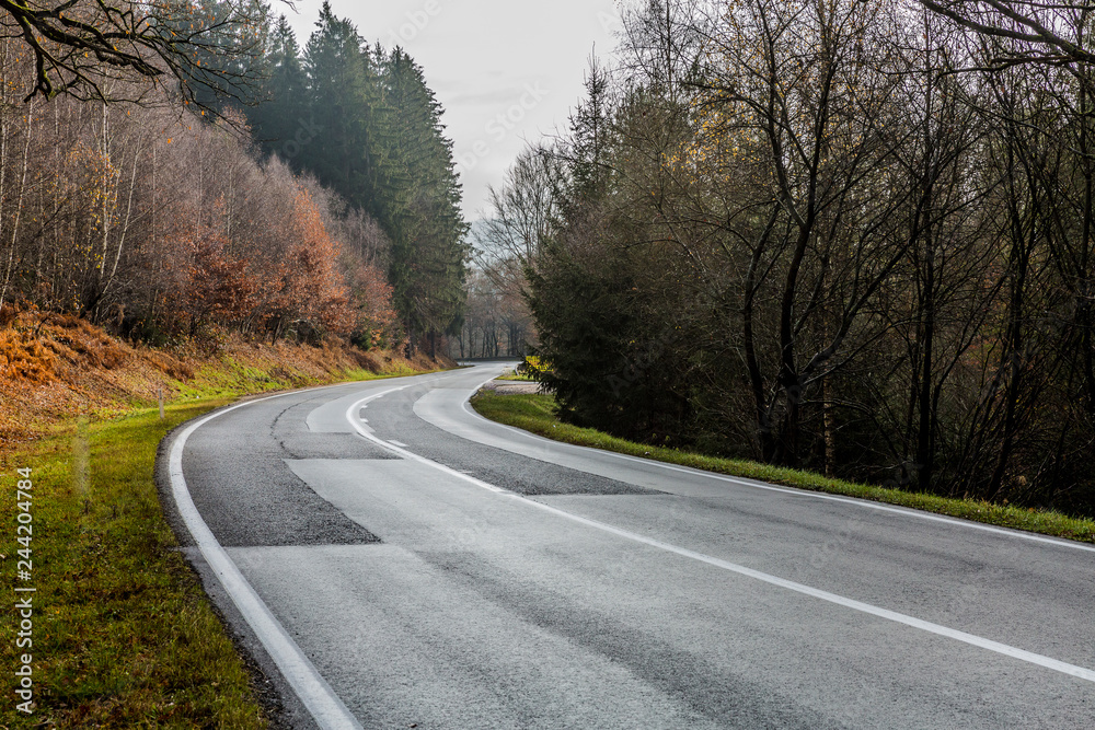 Empty winding asphalt forest road with a bend in the middle of a nature reserve, bare winter trees, fading into the background, calm cloudy day with a gray sky in the Belgian Ardennes