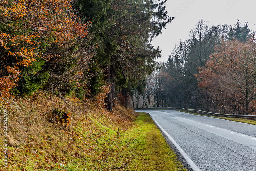 Country road with a curve in the background between autumn forest trees, gray cloudy day with light mist in the Belgian Ardennes