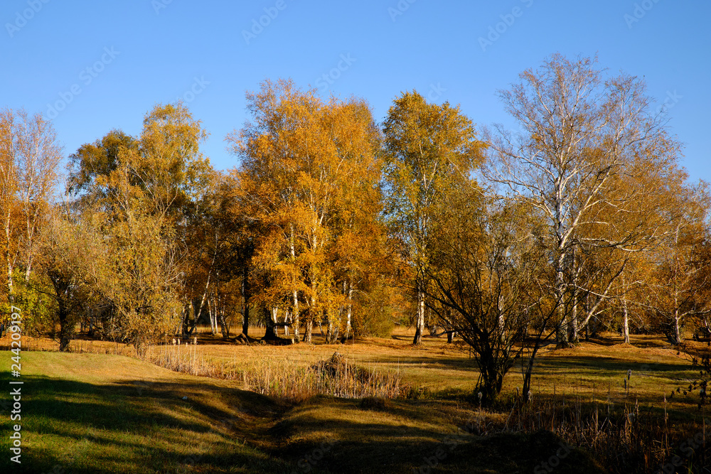 Herbst im Naturschutzgebiet Ried bei Grettstadt, Landkreis Schweinfurt, Unterfranken, Bayern, Deutschland Herbst im Naturschutzgebiet Ried bei Grettstadt, Landkreis Schweinfurt, Unterfranken, Bayern, Deutschland