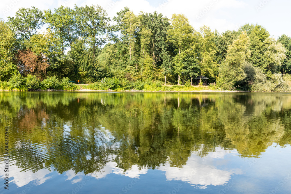 lake in germany with trees and reflection in water