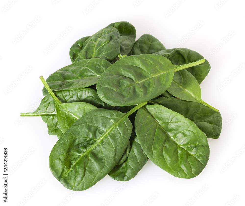 Fresh spinach leafs isolated on white background Fresh spinach leafs isolated on white background