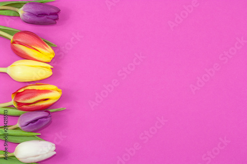 Fototapeta Naklejka Na Ścianę i Meble -  Colorful spring tulips on pink background.