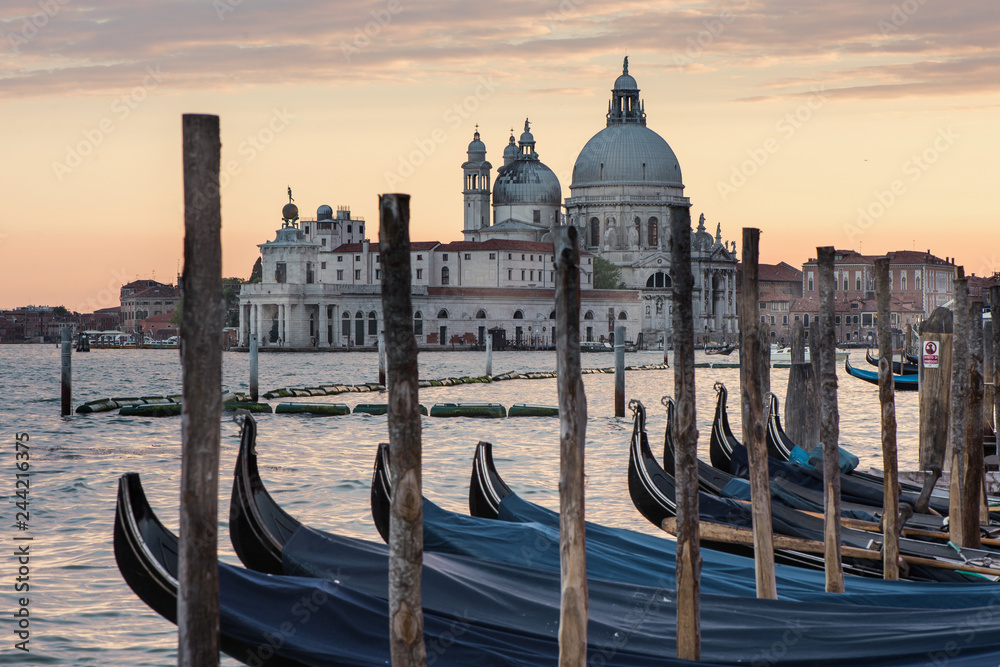 View of Venice. Grand Canale. Basilica of Santa Maria della Salute	