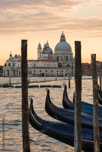 View of Venice. Grand Canale. Basilica of Santa Maria della Salute  © Gioia