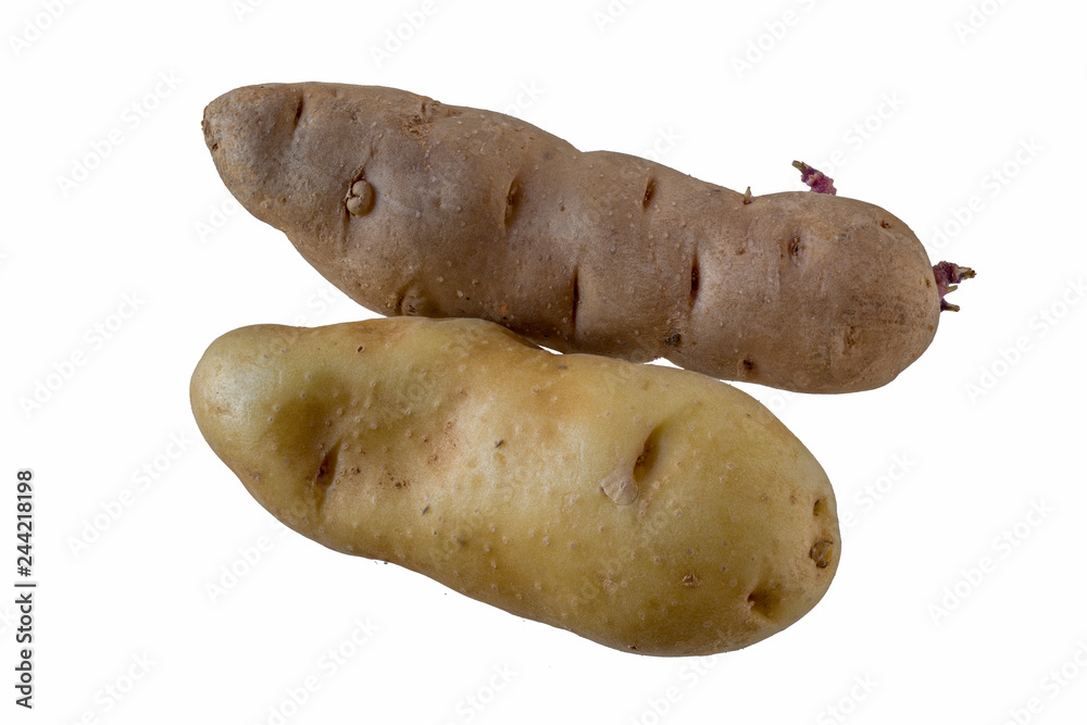 Kartoffelsorten La Ratte und Banberger Hörnla Kartoffelsorten La Ratte und Banberger Hörnla