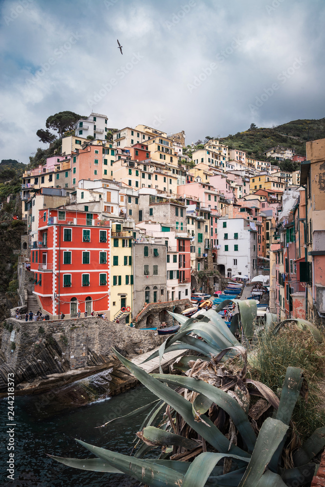 Perfect view of Riomagiorre village colorful houses in national park  of Cinque Terre in Italy, Liguria