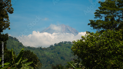 tropical landscape mountains covered green tropical forest, blue sky. slope mountain forest with large trees and green grass. Jawa, Indonesia