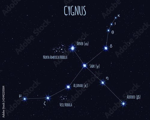 Cygnus (The Swan) constellation, vector illustration with the names of basic stars against the starry sky