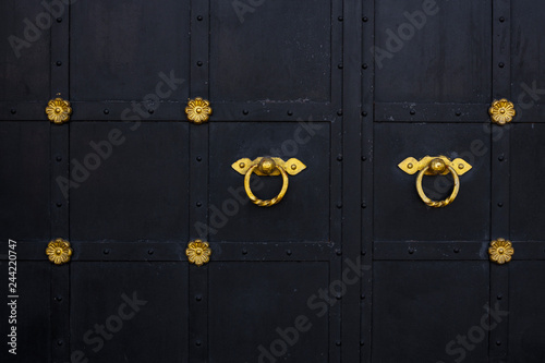 Obraz na plátně old iron gate black color and the door knocker with a gold ring and decorative flowers