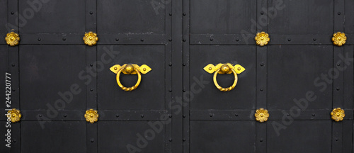 Obraz na plátně black iron gates and door hammers with a gold ring and decorative flowers