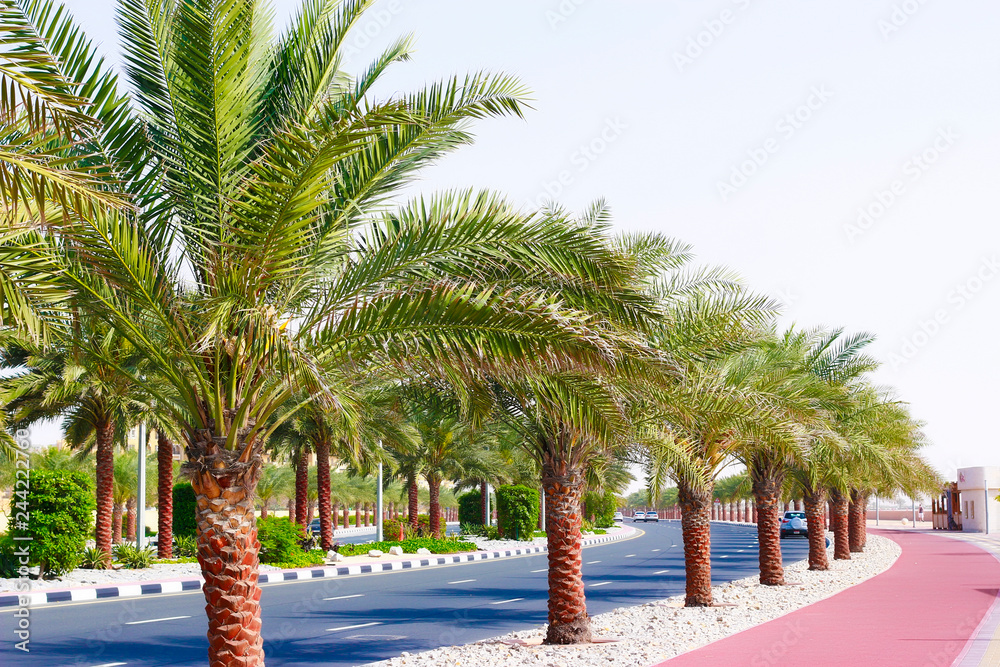 Obraz premium Ras Al Khaimah