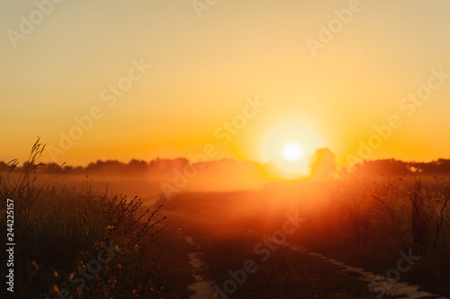 Sunrise on the field at summer. © Maksym