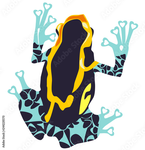 Vector Poison Dart Frog