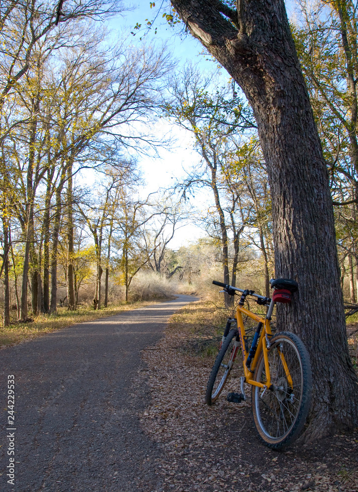 Yellow Mountain Bike along trail in Woods
