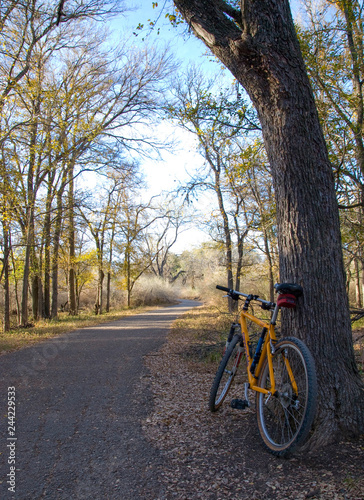 Yellow Mountain Bike along trail in Woods