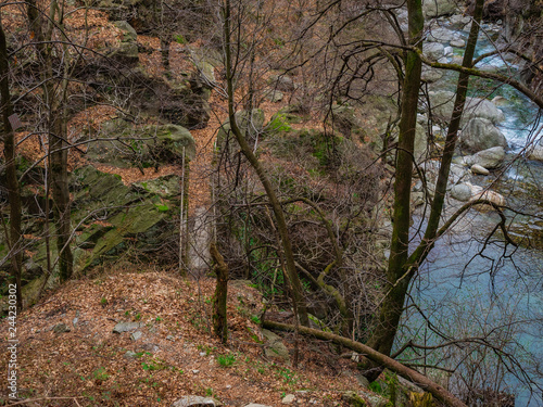 View of Small bridge in Val Grande National Park photo