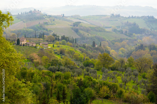 Typical Tuscan landscape © Sergii Mostovyi