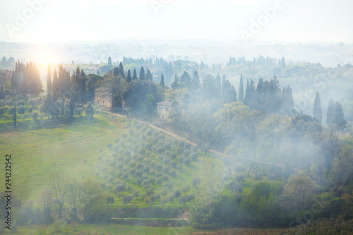 foggy morning at the Toscana © Sergii Mostovyi