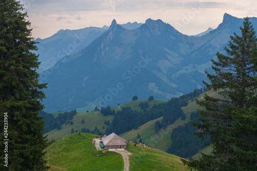Beautiful landscape in the Alps. Moleson Guyere, canton Fribourg Switzerland.