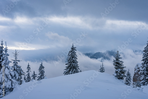 Winter landscape from a mountain top