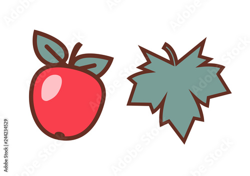 Flat vector apple and a cover leaf for Adam.