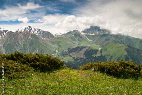 Summer in the mountains