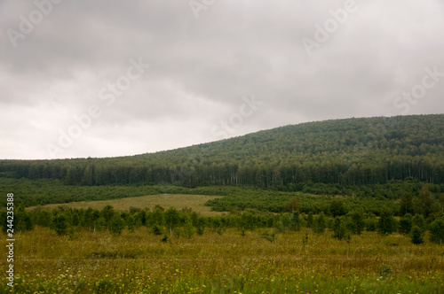 Grey sky with a lot of clouds in the early autumn sky over green fields, trees, forests and huge mountains. A lot of meadow herbs around. Day. Travel through nature landscape