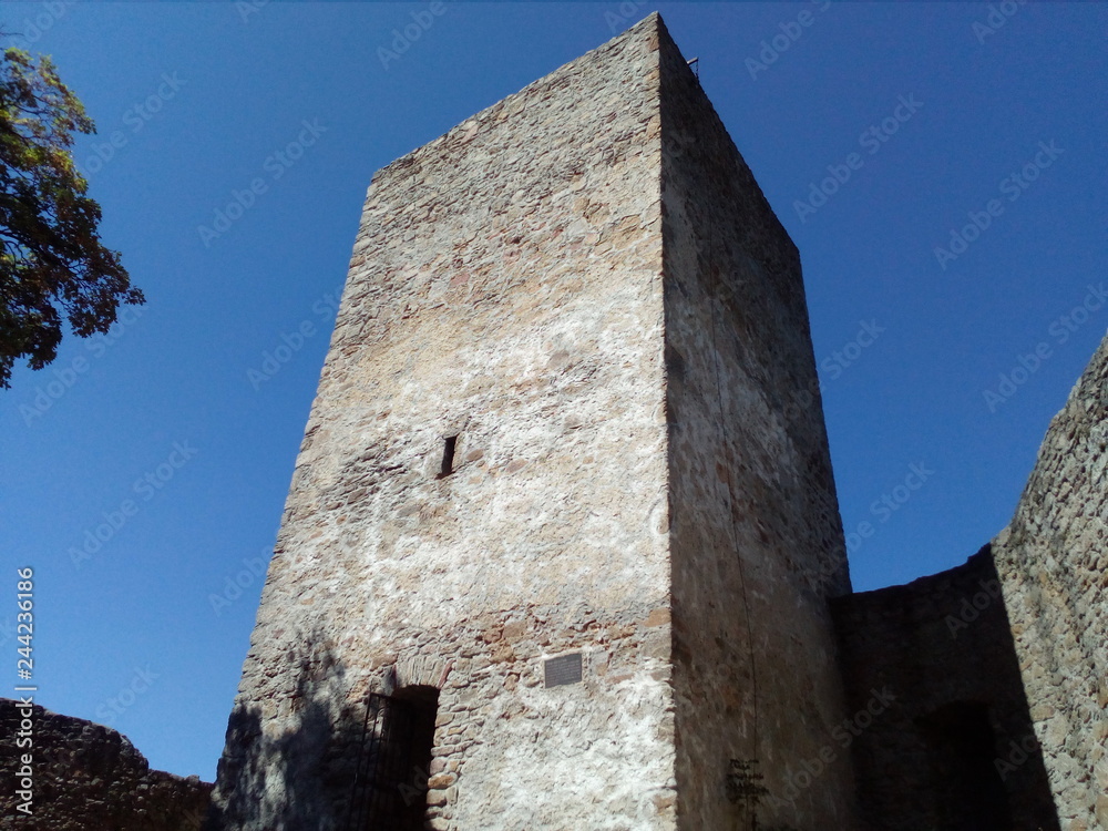 Naklejka premium Lookout tower