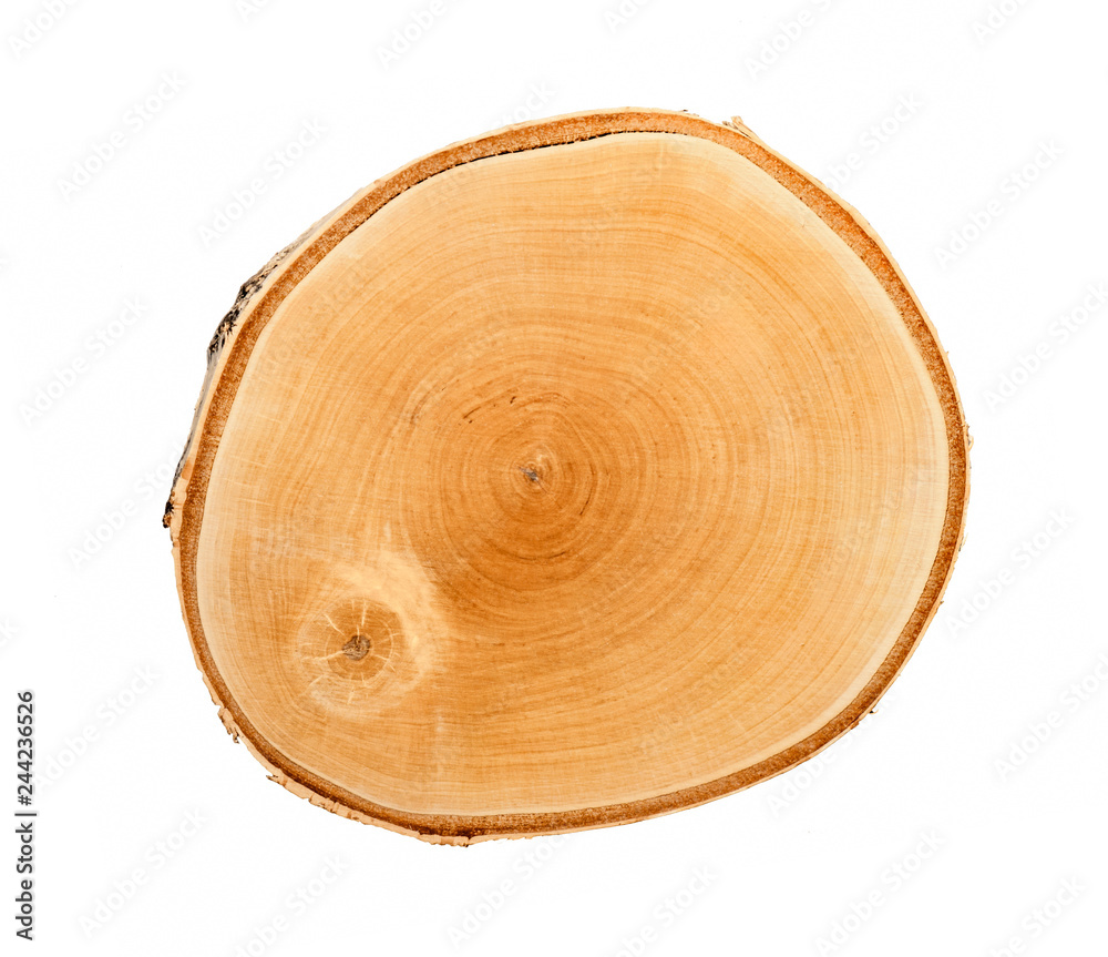 All About Annual Growth Rings - Kretz Lumber