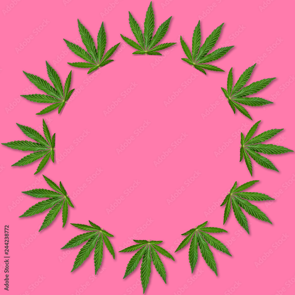 Hemp or cannabis Leaf Picture frame