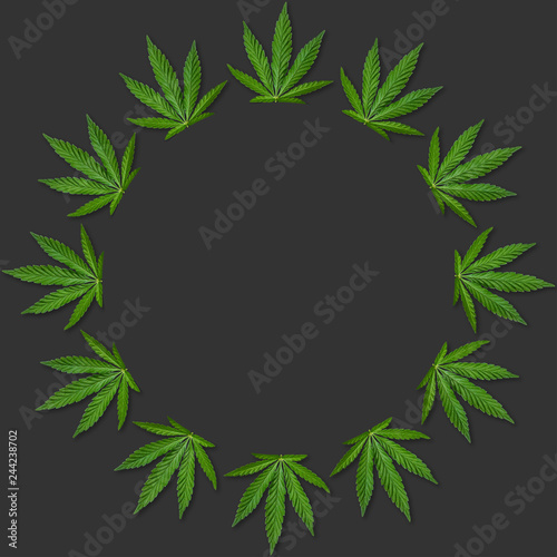 Hemp or cannabis Leaf Picture frame